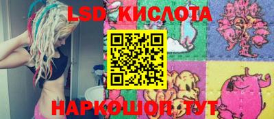 сатива Краснодар