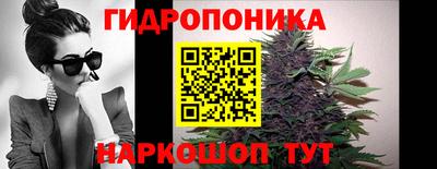 сатива Краснодар