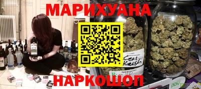 сатива Краснодар