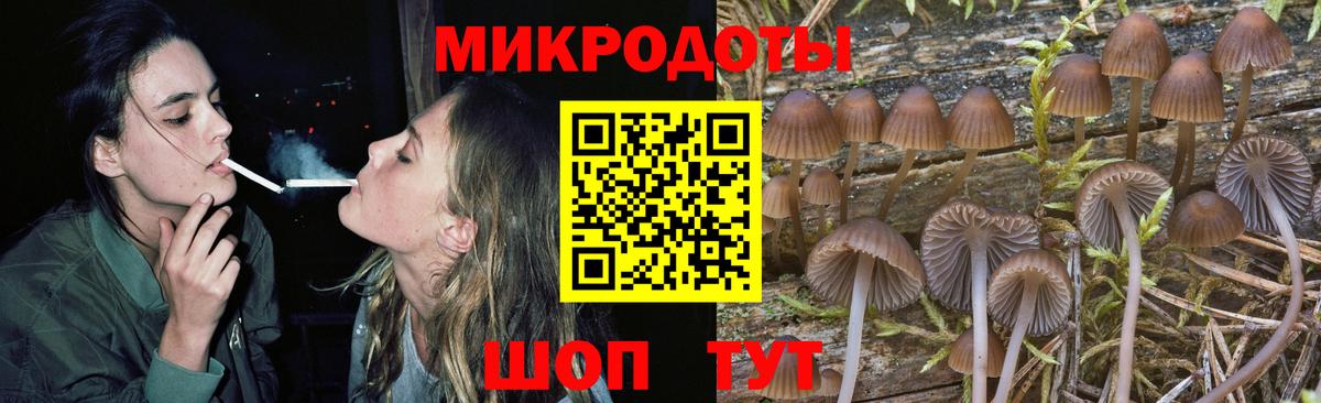 Псилоцибиновые грибы Psilocybine cubensis Кудрово